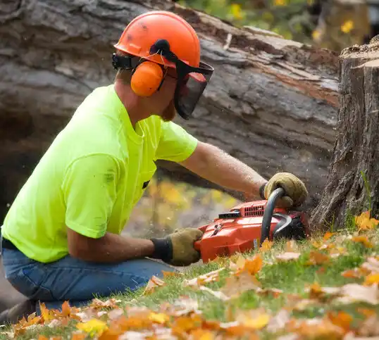 tree services Danville